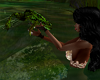 Playfull Pond Frog anim.