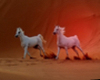 horses in sunset