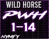 Wild Horse