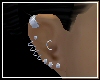 Multi Silver Earrings