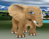 Baby Elephant Pet