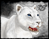 [SS] White Lioness