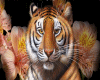 Glitter*Tiger