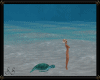 Underwater Turtle Ride