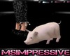 [Pet] Pig {MS}
