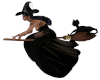 Fly Witches Broom