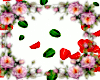 ! Rose Petals On Floor
