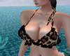 Top leopardo