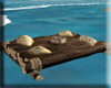 [SF] Pirate Raft