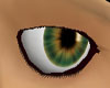 Green Yellow Eyes