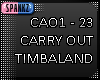 Carry Out - 