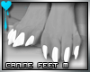 D~Canine Feet:White M