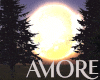 Amore Magic Forest