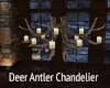 *Deer Antler Chandelier