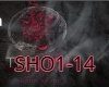 SHOOG SHOOG