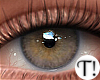 T! Beauty Eyes 14