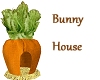 Bunny House -no poses