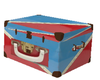 Roller Skate Case