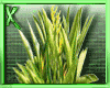[.X.]Modern Plant