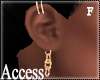A. Gold Chain Earrings F