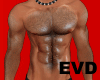 EVD Muscle Body Hair