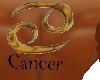 tattoo cancro zodiaco