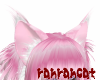+Fluffy Cat Ears