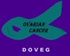 Ovarian Cancer Ribbon