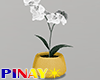 Tiny Orchid Pot 3