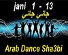 Arab Dance - Sha3bi