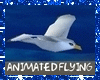 S* Sexy Seagull