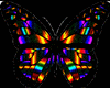 BUTTERFLY ANIMATED