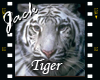 Tiger White Frame