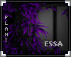 [LyL]ESSA Plant
