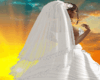 Wedding Long Veil White