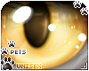 [Pets] Nefer | eyes v1