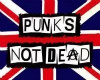 T76~Punks Not Dead