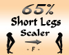 Long Legs Scaler 65%