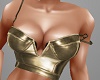 ~CR~Gold Leather Top