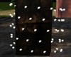 Lights