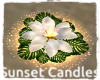Sunset Candles