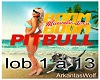Pitbull- Loca Boom boom