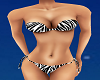 |SV| Sexy Zebra Bikini
