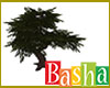 Tree 2 (Basha)