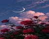 flore hf