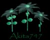 Akitas pixie flower 2