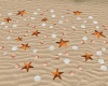 Sea Shells addon