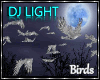 DJ LIGHT - White Birds