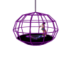 Purple Dragon Dance Cage