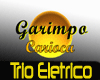 Trio Eletrico Vox Music